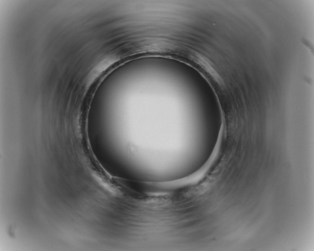 X0000095881026200801111129