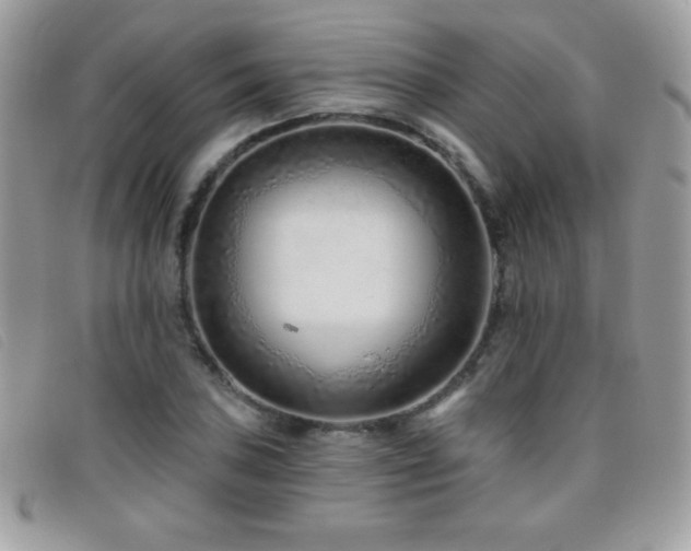 X0000095881027200801111129