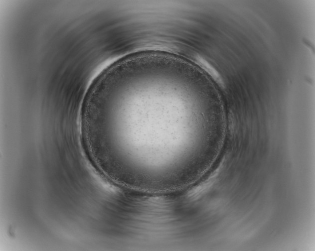 X0000095881028200801111129