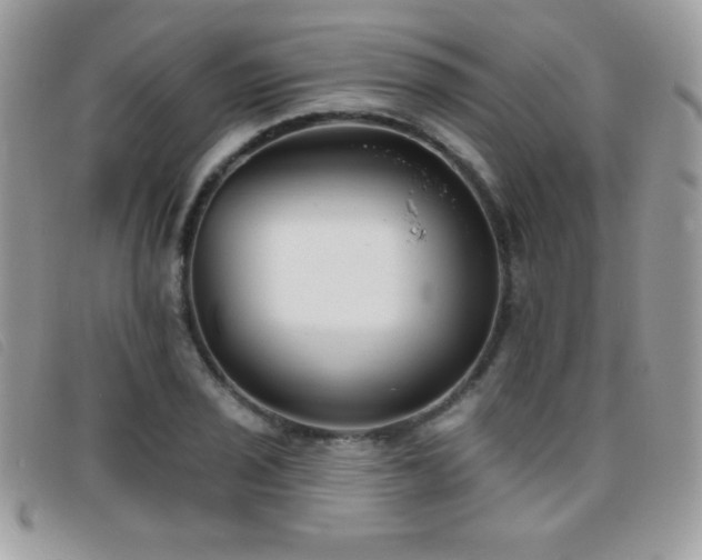 X0000095881029200801111129