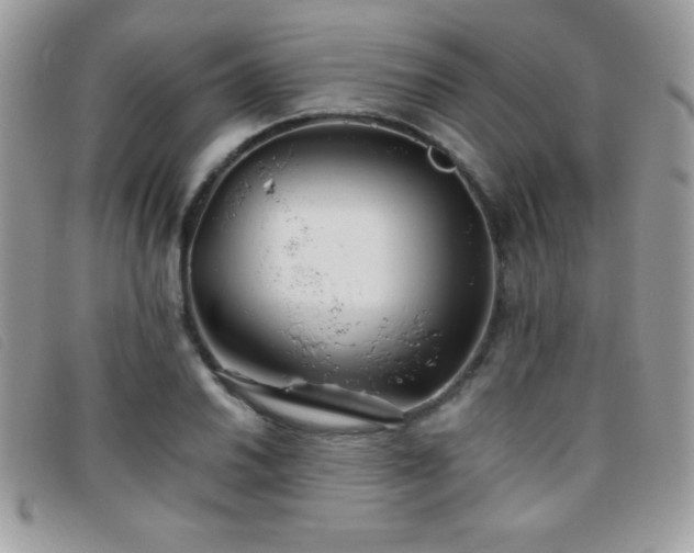X0000095881030200801111129