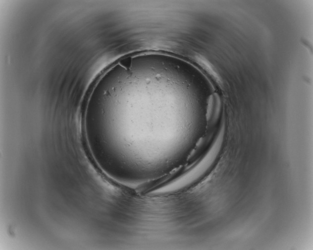 X0000095881032200801111129