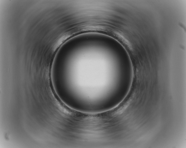 X0000095881033200801111129