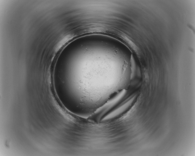 X0000095881034200801111129