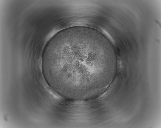 X0000095881035200801111129