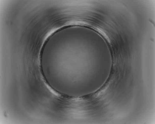 X0000095881037200801111129