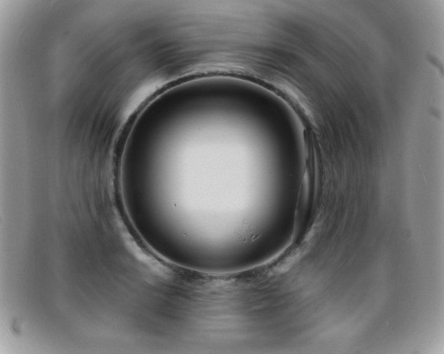 X0000095881038200801111129