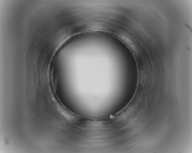 X0000095881039200801111129