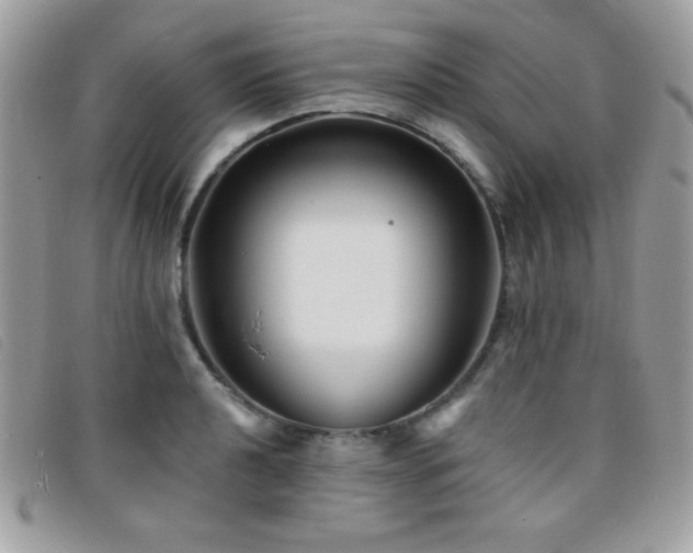 X0000095881040200801111129