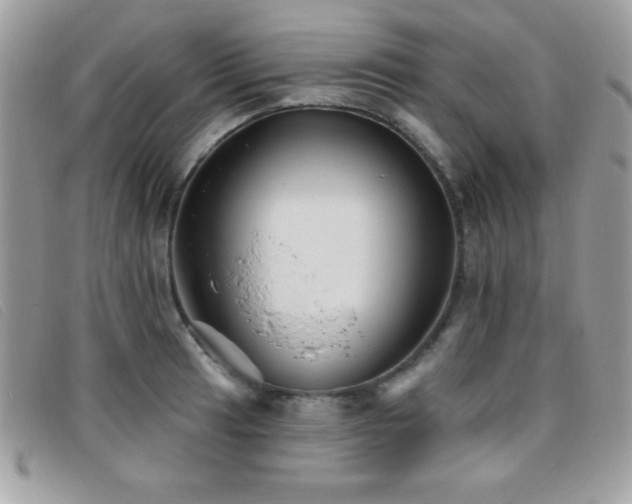 X0000095881041200801111129