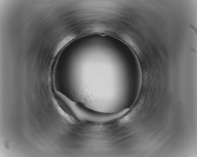 X0000095881042200801111129
