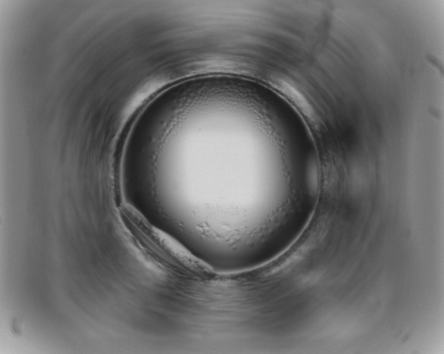 X0000095881043200801111129