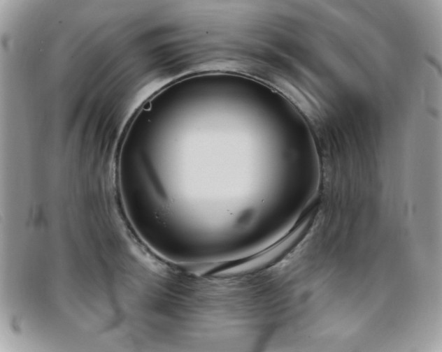 X0000095881044200801111129