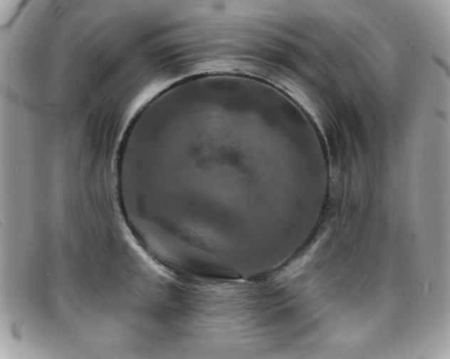 X0000095881045200801111129