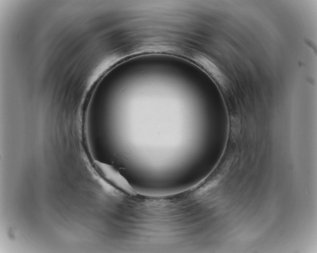 X0000095881046200801111129