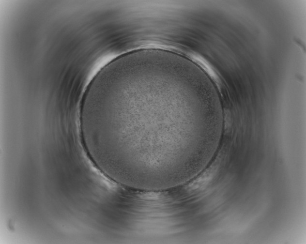 X0000095881048200801111129