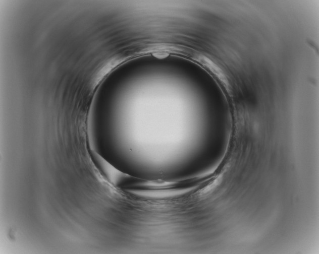 X0000095881049200801111129