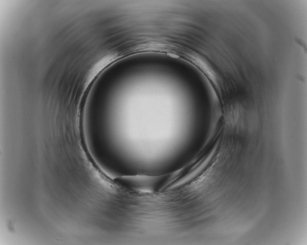 X0000095881050200801111129