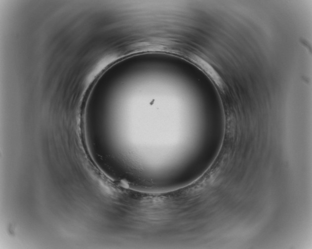 X0000095881051200801111129