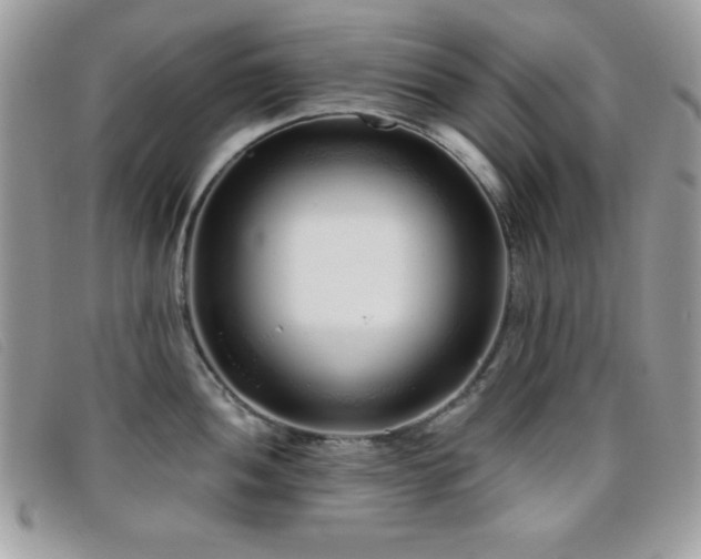 X0000095881052200801111129