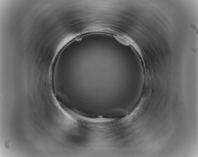 X0000095881053200801111129