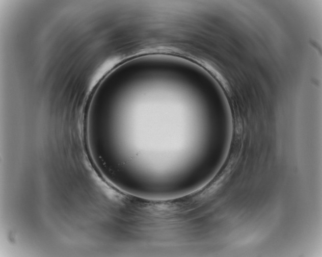 X0000095881054200801111129