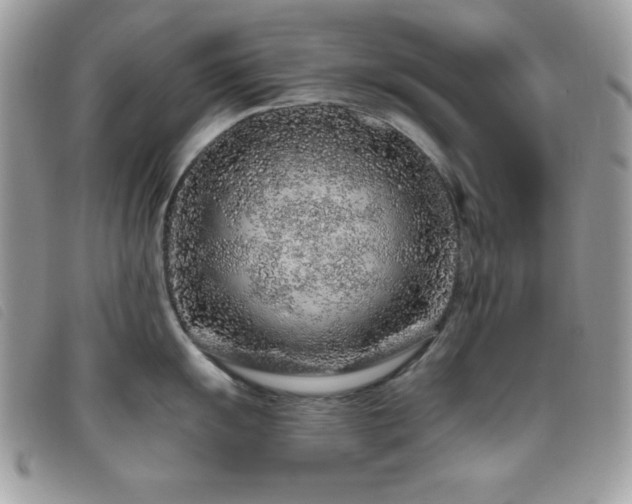 X0000095881055200801111129