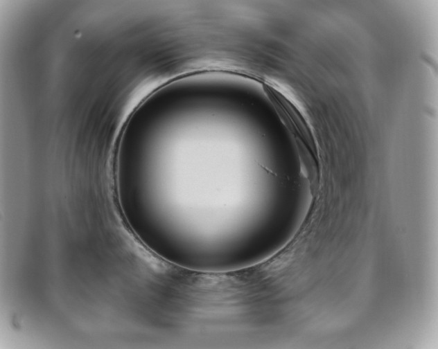 X0000095881056200801111129
