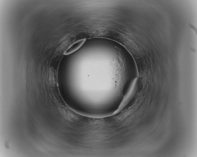 X0000095881058200801111128