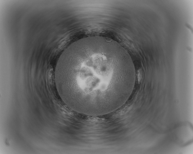 X0000095881059200801111128
