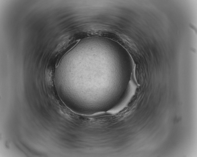 X0000095881060200801111128