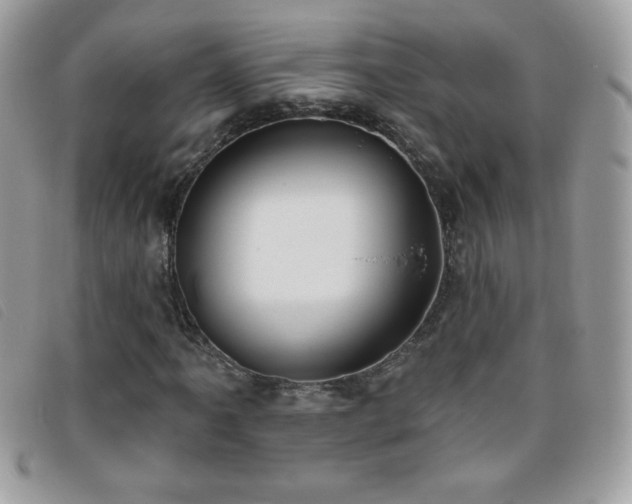X0000095881061200801111128