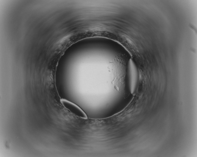 X0000095881062200801111128