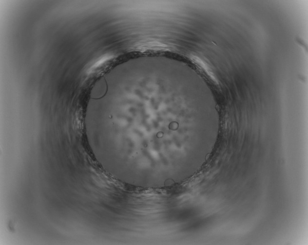 X0000095881063200801111128