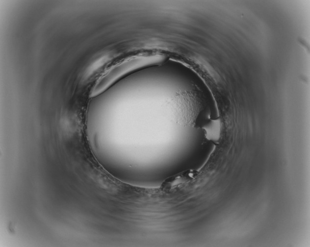 X0000095881064200801111128