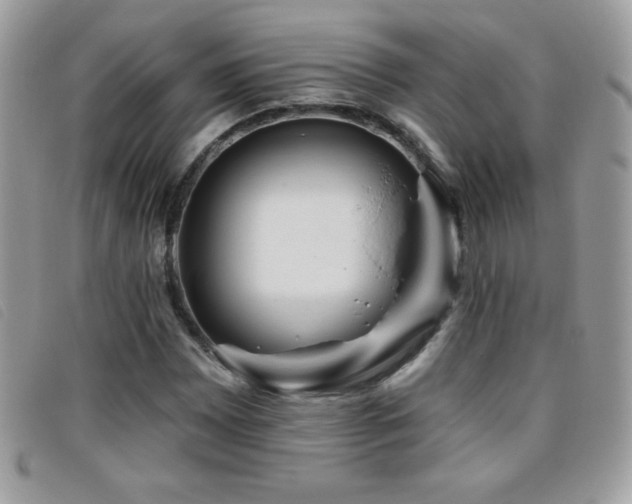 X0000095881065200801111128
