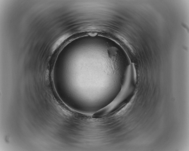 X0000095881066200801111128