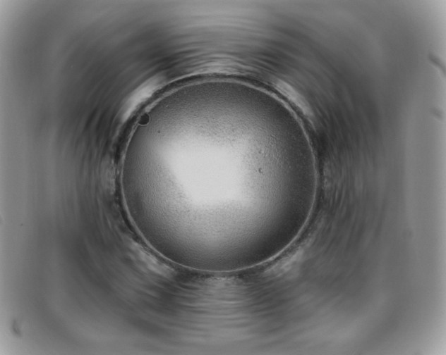 X0000095881067200801111128