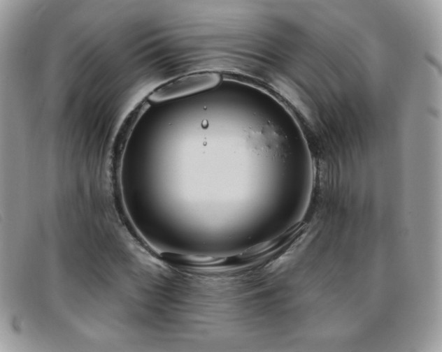 X0000095881068200801111128