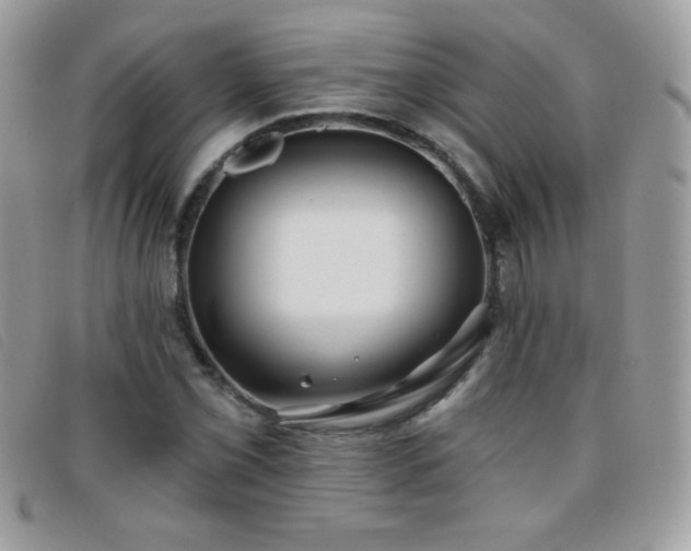 X0000095881069200801111128