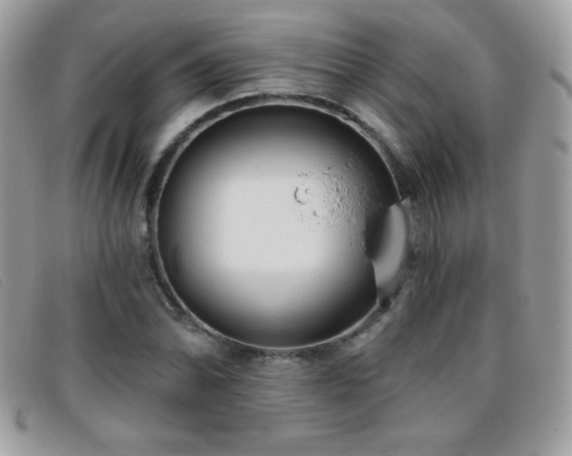 X0000095881070200801111128