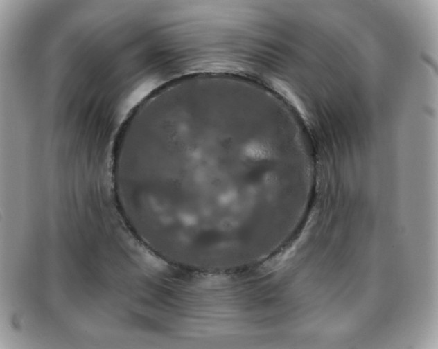 X0000095881071200801111128