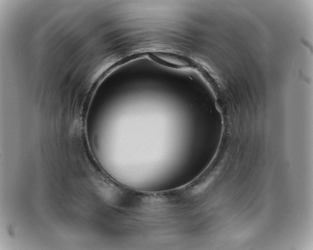 X0000095881073200801111128