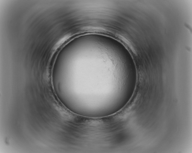 X0000095881074200801111128