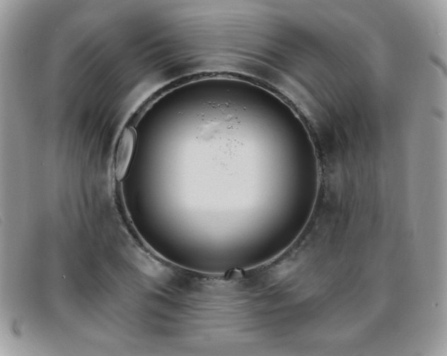 X0000095881076200801111128