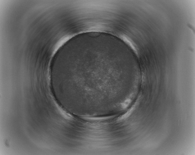 X0000095881077200801111128