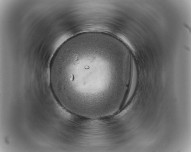 X0000095881079200801111128