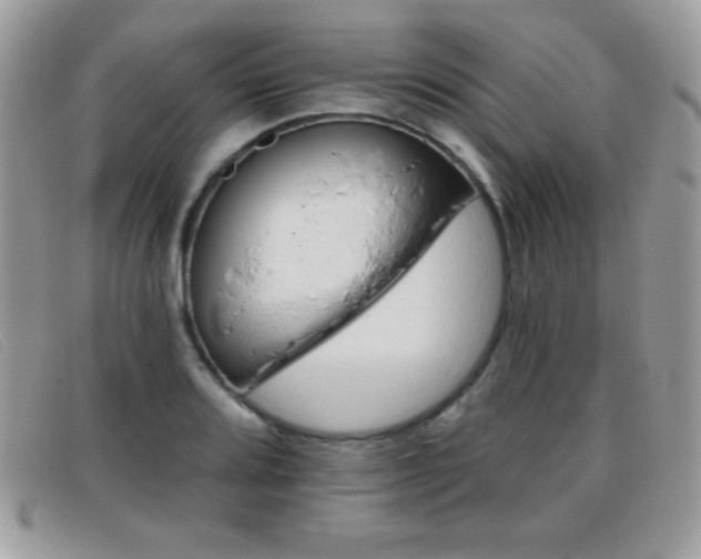X0000095881080200801111128