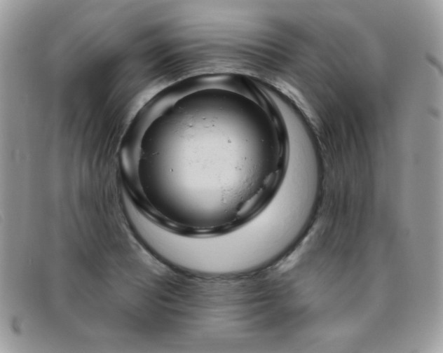 X0000095881081200801111128