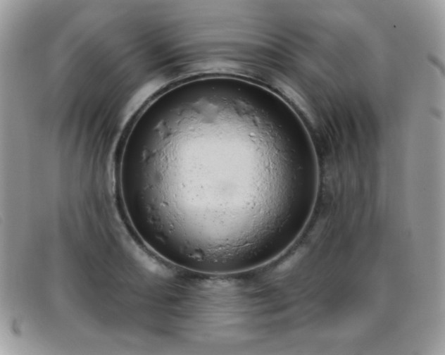 X0000095881082200801111128